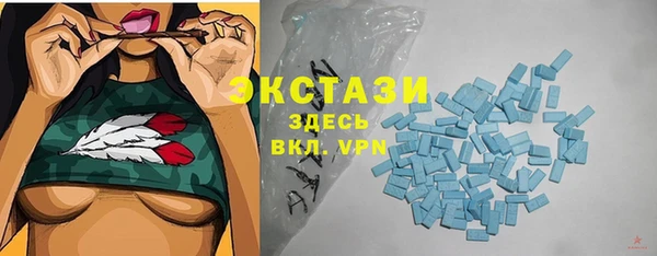 индика Балабаново