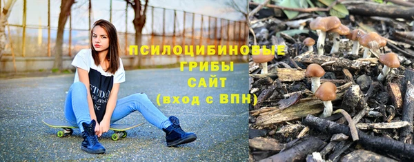 индика Балабаново