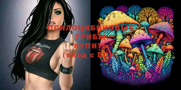 индика Балабаново