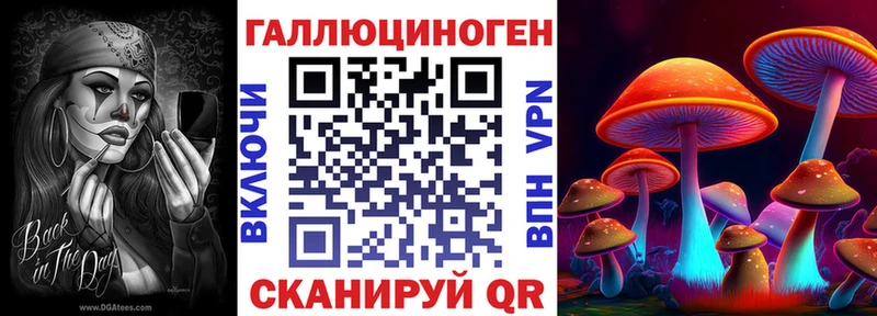 купить наркоту  Георгиевск  Псилоцибиновые грибы Cubensis 